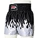 MRX Boxing Shorts for Men Training Fighting Muay Thai Shorts Boxing MMA BJJ Short Kickboxing Trunks Clothing Blue/Silver Flame Small