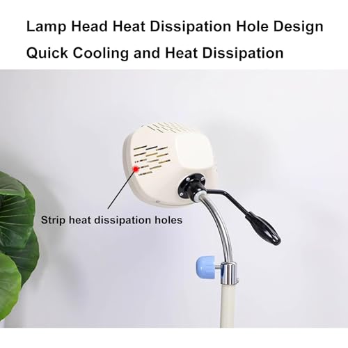 Lampe d'éclairage buccal dentaire à LED pour auscultation précise - 3