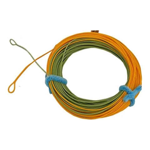 Aventik Línea de Pesca Flotante con Mosca de Doble Color (4F) Cover
