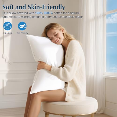 Luxury Goose Feather Down Pillows Queen Size Set of 2, 3-Chamber 5 Star Hotel Pillow for Deep Sleep, Soft Bed Pillows for Neck Pain Relief, Perfect for Side, Back Sleepers - 20"x30"