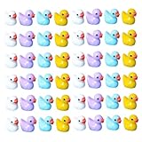Homoyoyo 80 Piezas Figuras Miniatura Pato de Resina Mezcla Colores Decoración Micropaisaje Jardín Accesorios Detallados Resistentes