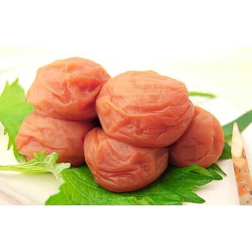 紀州南高梅 りんご梅 500g[Kn19]