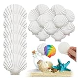 dingfeng 25 conchiglie bianche per fai da te, conchiglie decorative naturali, grandi (6-7 cm), per fai da te, dipingere, fai da te, scacciapensili, matrimoni, decorazioni da spiaggia, conchiglie