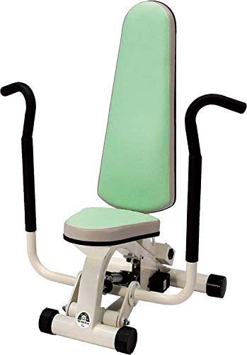 TURTLE GYM (^[gW) ver4.0 ̋ؗ͂ɍ킹 Ȃ g[jO nr GNTTCY dq䕉 y 勹 r񓪋 rO p z (`FXgvX)