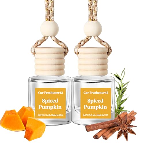 Burst Bird Car Air Freshener Hanging Cute Air Diffuser for Car Long Lasting Car Air Fresheners Car Fresheners for Women Made in USA (2 Pack)