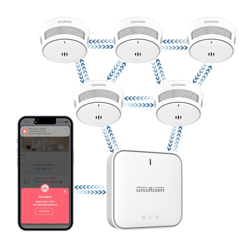 Detecteur De Fumée Intelligent avec Passerelle, Détecteur De Fumée pour La Maison, Wisualarm APP Notificaiton Push, Batterie Scellée De 10 Ans, EN14604 (5*détecteur De Fumée+1*passerelle)