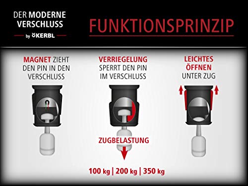 GOLEYGO Hundeleine Flat, Rot, Größe M 1,4-2m, Sicherer Magnetverschluss, Inkl. Adapter-Pin, Hundeleine für kleine & große Hunde bis 60kg, Maximale Belastung 200kg