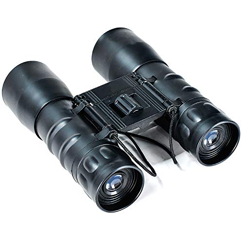 BXGTECH Binoculars Powerful Binoculars for Adults 10x32 Binoculars for Hunting, Bird Watching,Travel Sightseeing, Wildlife Watching, Outdoor Sports Games, Concerts