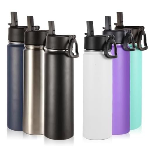 Insulated 24oz Water Bottle Pack of 6