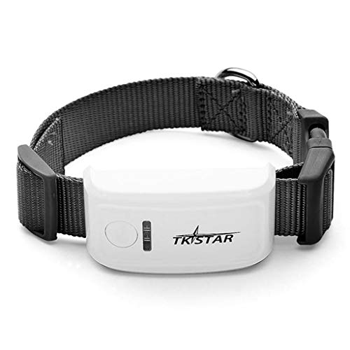 mini gps tracker katt 2023 Arteme