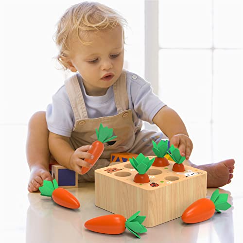 Image of KMTJT Montessori Carrot Harvest Game Wooden Toy for 2 3 Year Old Toddlers | Educational Carrot Harvest Toy for Boys and Girls, Shape Sorting Matching Puzzle, Developmental Birthday Gifts