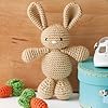 Leisure Arts Amigurumi Adorable Collect Crochet Book, Crochet Pattern Books, Crochet Books Patterns, Crochet Patterns, Crochet Patterns for Beginners #5