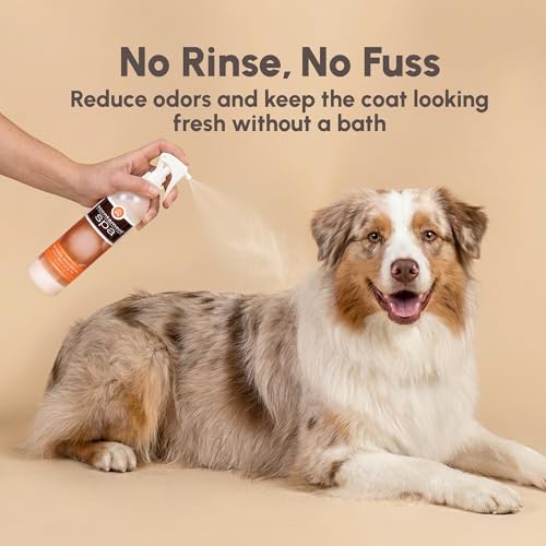 Image of Best Shot Scentament Spa Botanical Body Splash, Body Spray Conditioner for Pets, Cat and Dog Cologne Spray, Alcohol-Free, Ready To Use, Apricot Lily, 8 Oz.