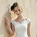C.Garopl Accessories Fascinators Hats Women Vintage Wedding Fashion Headband Clip Church Cocktail Dresses Headwear Tea Party (Black-01)