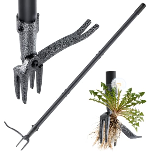 RexWeed Stand Up Weed Puller Tool,...