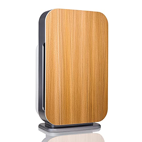 Can Trees Reduce Noise Pollution in Urban Areas? Conserve Energy Future