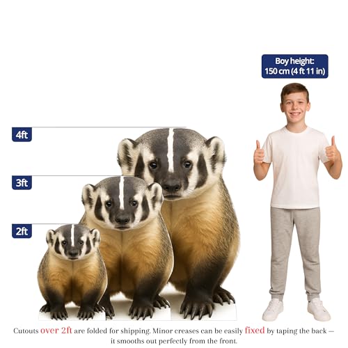 Image of American Badger 3FT Life Size Cardboard Cutout - A Fun Animal Standup for Photo Booths, Birthday Parties, and Events