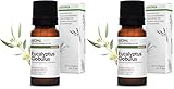 Eucalyptus Globuleux BIO (Eucalyptus globulus) - 10 mL - Huile Essentielle Chémotypée et Certifiée AB - Santé respiratoire - Aroma Labs - Made in France (Lot de 2)