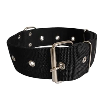 Coleira Nylon Dupla Grande Porte Cachorros Pit Bull e Raças Grandes Fita 5 cm (Pescoço: 45 a 62cm, Preto)