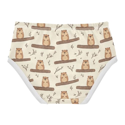 Girls Underwear Soft Cotton Beaver Kids Panties in Sizes 2/3t, 4t, 5t, 6 and 82