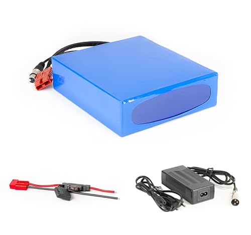 Lithium-Ionen Akku 12V 100Ah 1200Wh Akkupack incl. 50A BMS & Ladegerät für Scooter E-Bike Pedelec Boot Camping Golf Trolley Cover