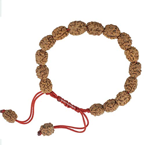 See full amazon price history chart for Trideva Blessings 3 Mukhi Rudraksha Bracelet/Three Face Rudraksha Bracelet - 17 beads Trideva Blessings 3 Mukhi Rudraksha Bracelet/Three Face Rudraksha Bracelet - 17 beads (B08K4JKCGQ) Amazon Price History, Amazon Price Tracker