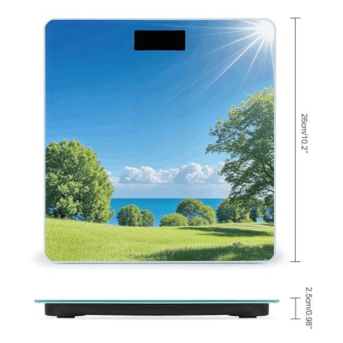 Báscula Digital de Baño con Pantalla LCD Brillante miniatura 2