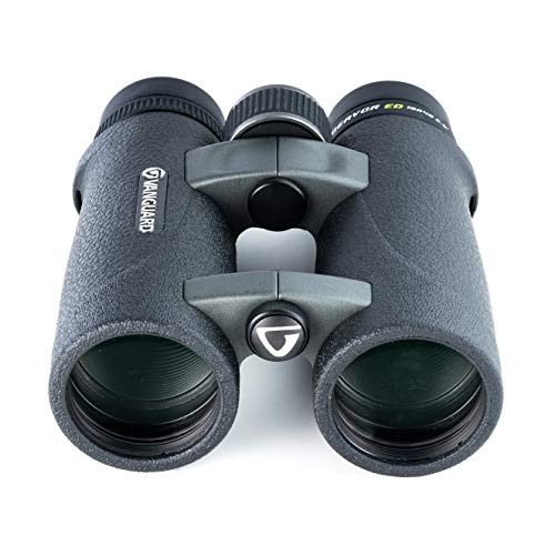 Vanguard Endeavor Ed 10X42 Binocular, Ed Glass, Waterproof/Fogproof, Black (Endeavor Ed 1042) #TOP2