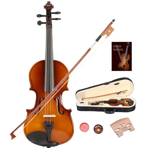 Best Violin Brands In Sri Lanka Expert Review The Modern Record