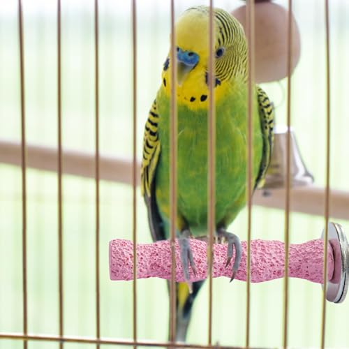 LearnLyrics Papageienbarschstab Vogel-Kalzium-Zahnknirsch Kauspielzeug,Zähne Stein Stick Barsch Vogel Zähne Schleifen Sand Klaue für Papagei Wellensittiche Eichhörnchen Hamster Käfig Stand