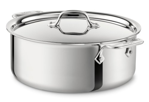 All Clad Stainless Steel Stockpot Cookware 8 Quart Silver