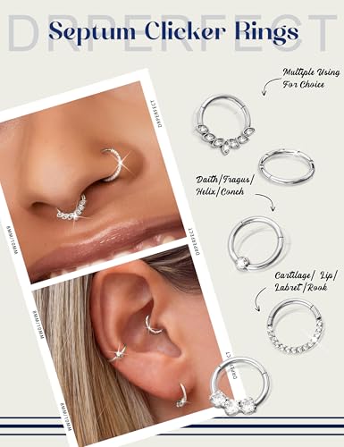 Drperfect Daith Earrings 16G Stainless Steel Cartilage Helix Tragus Nose Hoop Piercing Jewelry 8MM 10mm Silver Gold Rose Gold Black Plated CZ Hinged Septum Clicker Rings2