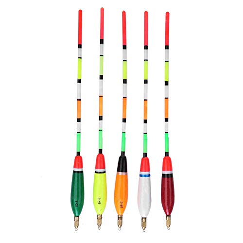 Galleggiante da Pesca 10pcs / Set Eva Galleggianti per la Pesca in Eva Sea Possono Essere inserite Bastoncini Luminosi Pole Porta Pesca Bobber Buoyancy (Color : 10g