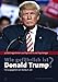 Produktbild Wie gefährlich ist Donald Trump: 27 Stellungnahmen aus Psychiatrie und Psychologie (Psyche und Gesellschaft)