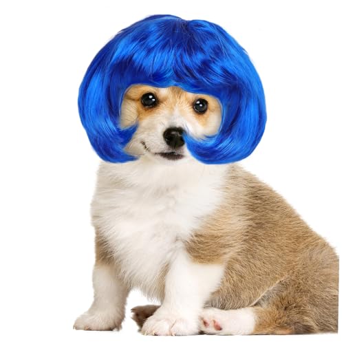 Operitacx ybgpEBbO LpwbhANZT[ t@Co[ K ybgRXvߑ ʐ^Bep 킢u[