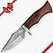 Hobby Hat HH-342, Couteau de Chasse en Acier Damas 25,4 cm avec étui, Couteau à Lame Fixe, Couteau Tranchant, Manche en Bois de Noyer pour la Chasse et Le Camping