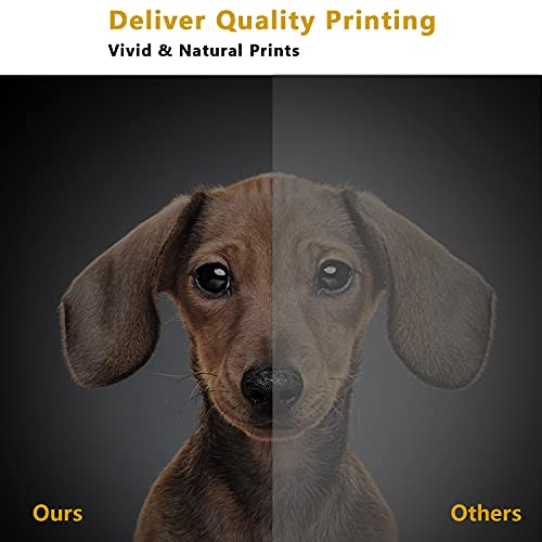 EBY-Compatible-HP-44A-CF244A-Cartucho-de-toner-para-HP-Laserjet-Pro-M15a-M15w-MFP-M28w-M28a-Impresora-2-Negro