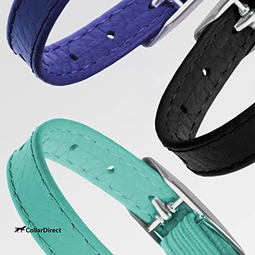 CollarDirect Leder Katzenhalsband mit Sicherheitsverschluss 21,5 cm Schwarz, Elastischer Gurt und Glocke für Kleine Katzen