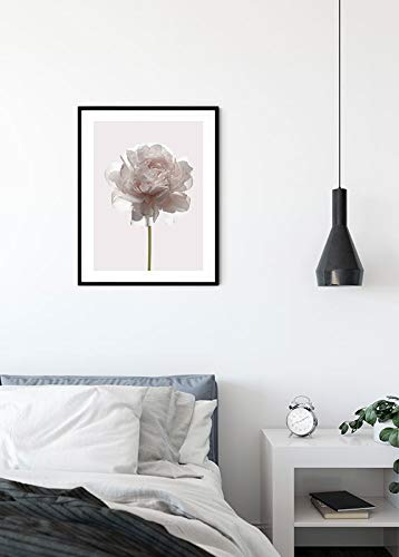 Komar Wall Picture, White, Pink, Green, 50L x 40W cm - Image 3