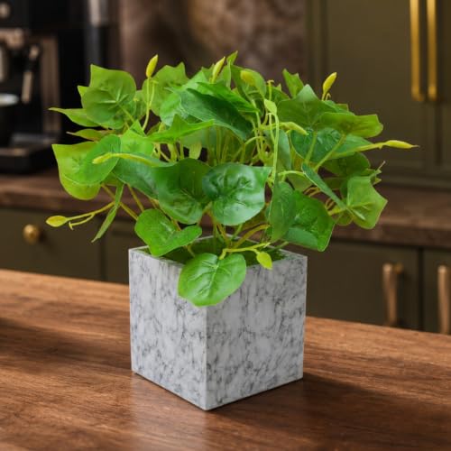 Image of fancymart Artificial Plant with Real-Touch Leaves in Pot, 25 cm, Indoor Tabletop Item for Home Decor, Office, Living Room