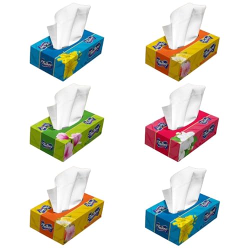 Image of Feather's Facial Dry Tissue 600 Pulls Super Soft & Super Absorbent Paper 2 Ply Pure Tree Pulp Made of Virgin Paper Biodegradable Face Tissue Wipes - 100 Pulls Per Pack (Pack of 6, Random Color Box)