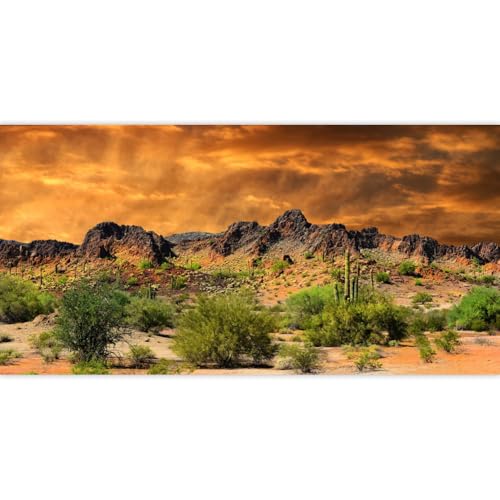 Laeacco 16x7ft Dusk Desolate Desert Backdrop Weathered Mountains Scenic Backdrop Natural Landscape Sunset Glow Cactuses Wedding Photo Studio Stage Perfomance Wallpaper Portrait Shoot Booth Props