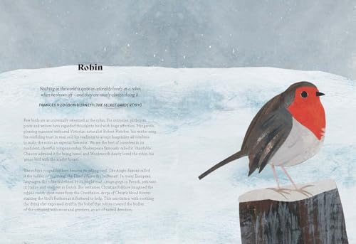 Image of Bird Lore: The Myths, Folklore and Meaning of Birds