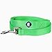 Blueberry Pet Essentials Neon Green Dog Leash for Small -5' * 5/8