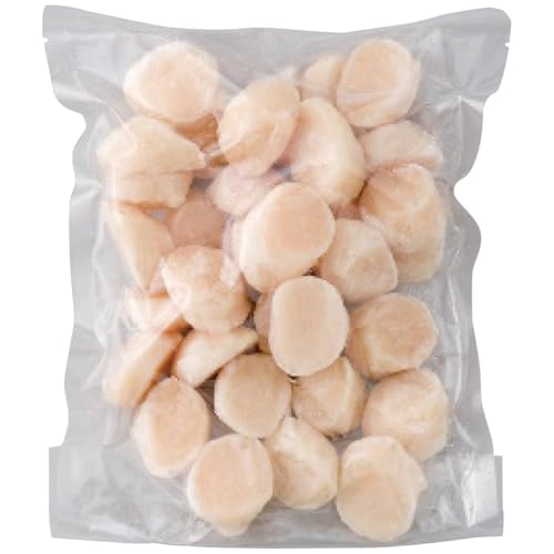 y2025 Εz ԑY kCY hgقĊL (n̂)