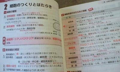 帝塚山学院泉ヶ丘中学校 プレテストと入試問題 算数トライアル