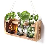 Plant Terrarium Propagation Stations Hydroponics Halloween Skull Planter Vase Skulls Decor with Wooden Stand Gift for Father