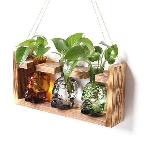 Plant Terrarium Propagation Stations Hydroponics Halloween Skull Planter Vase Skulls Decor with Wooden Stand Gift for Father
