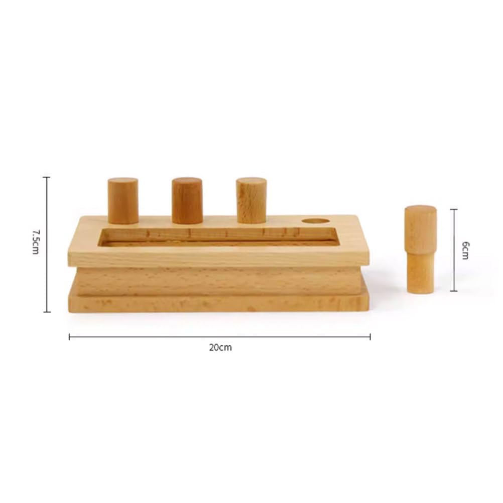 Montessori Brett- und Box-Einsetzspiel, Feinmotorik- und Hand-Auge-Koordination Spielzeug für Kleinkinder ab 12 Monaten