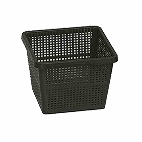 Preisvergleich Produktbild BREMA Teichpflanzkorb 27x27cm KST, eckig, schwarz